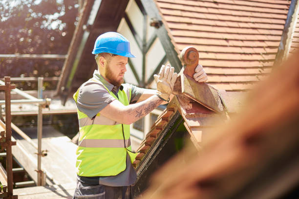 Roof Gutter Cleaning in Grand Rapids, MN